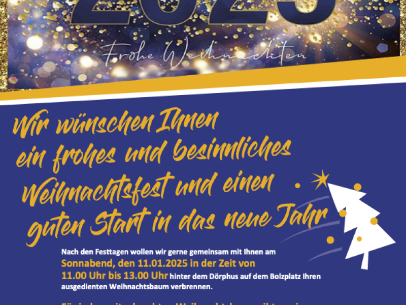 Tannenbaumverbrennen am 11.01.2025